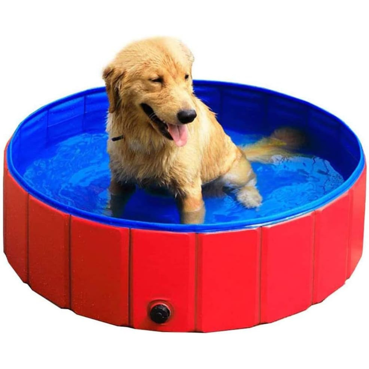 Piscina de Verano para Tu Mascota – ¡Plegable y Fresca! 80x20cm